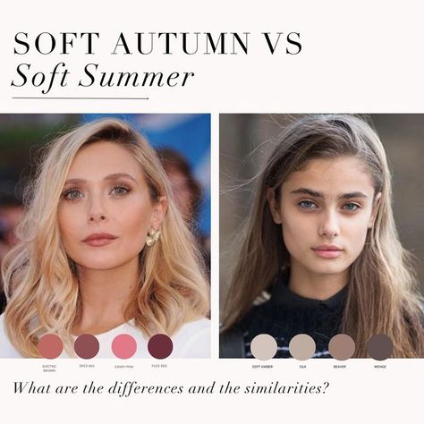 Soft Summer Vs Soft Autumn, Soft Autumn Hair Color, Season Analysis, Autumn Story, Colour Season, Soft Autumn Color Palette, Soft Summer Palette, Soft Summer Colors, Fashion Boards