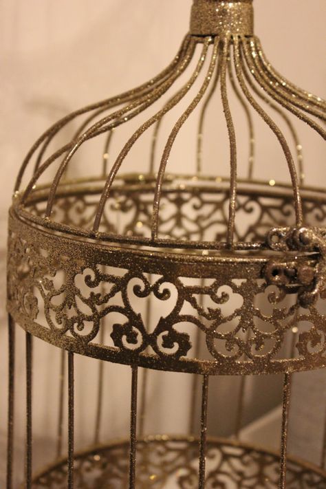 Cage Aesthetic, Bird Cage Vintage, Big Bird Cage, Royalty Core, Bird Cage Centerpiece, Cage Tattoos, Concrete Bird Bath, Tattoo Bird, Small Bird Tattoo