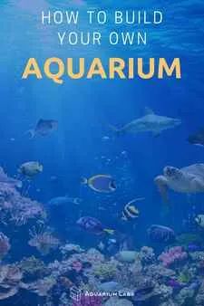 DIY Aquarium | Aquarium Labs Tank Terrarium, Custom Aquarium, Fish Tank Terrarium, Fish Keeping, Small Lizards, Saltwater Fish Tanks, Felt Tip Markers, Diy Aquarium, Small Turtles