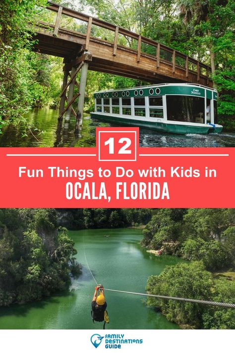 12 Fun Things to Do in Ocala with Kids Florida With Kids, Florida Travel Guide, Ocala Florida, Things To Do In Florida, Travel Places To Visit, Family Destinations, Visit Florida, Family Friendly Activities, Fun Family Activities