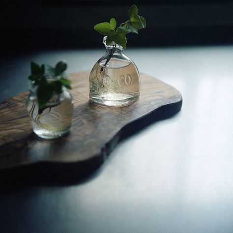 small jars for the window. Green Glass Bottles, Pot Plants, Cute Blankets, Small Jars, Suspension Lamp, Bottles And Jars, My Kitchen, My New Room, Plant Life