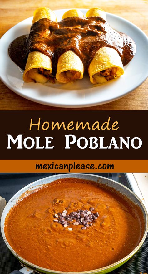 Authentic Mole Recipe, Mole Coloradito, Authentic Mole Recipe Mexico, Mole Recipe Mexican Authentic, Mole Sauce Recipe, Mexican Mole Recipe, Pork Mole Recipe, Mole Recipe Mexican, Chicken Mole Recipe