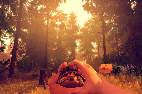 11 Indie Games That You Wont Want To Stop Playing Firewatch Game, Video Gamer, Game Dev, Top Game, Re Zero, The Hollywood Reporter, Nintendo 3ds, Nintendo Ds, Movie Game