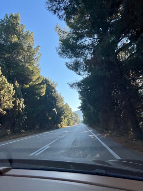 Riad between trees Greece, Road Trip, Road