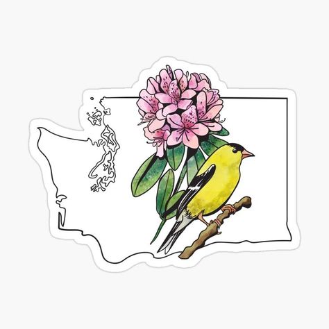 A beautiful water color sticker of Washington State's official bird and flower: the Goldfinch and Rhododendron Rhododendron Tattoo, Washington State Flower, Washington State Outline, The Goldfinch, American Goldfinch, Bird And Flower, State Birds, Beautiful Water, State Outline