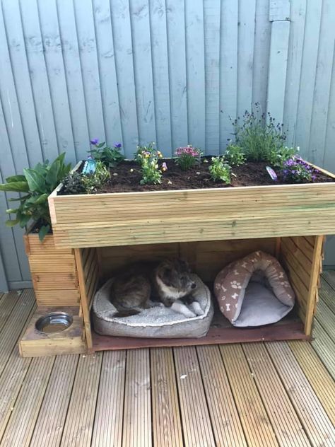 Planter Cat House, Outdoor Cat Garden Ideas, Diy Outdoor Cat Bed, Outdoor Cat Box Ideas, Cat Friendly Patio, Outdoor Cat Food Station, Cats House Ideas Outdoor, Cat Eating Area, Outdoor Cat Space