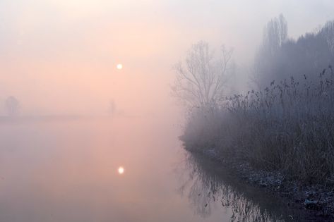 🇮🇹 Misty dawn (Brivio, Lombardy, Italy) by Giovanni Magli 🌅 Misty Dawn, Ice Castle, Novel Ideas, Mazzy Star, Horror Themes, I Love Winter, Story Setting, Morning Light, Pastel Aesthetic