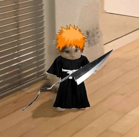 Bleach Meme, Bleach Ichigo Bankai, Ichigo Bankai, Ichigo Kurosaki Wallpaper, Anime Ichigo, Ichigo Manga, Urahara Kisuke, Bleach Funny, Anime Kitten