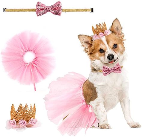 Crown Hat, Dog Birthday Party, Dog Birthday, Tutu Skirt, Birthday Party Supplies, Birthday Party, Crown, Party Supplies, Pet