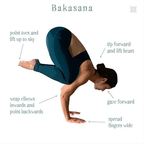 Omstars™ on Instagram: “Bakasana, the Crane Pose, breakdown by @razyogi 🕊⁣ ⁣ - spread fingers wide⁣ - wrap elbows inwards and point backwards⁣ - tip forward and…” Crane Pose, Yoga Asanas, Yoga, On Instagram, Instagram