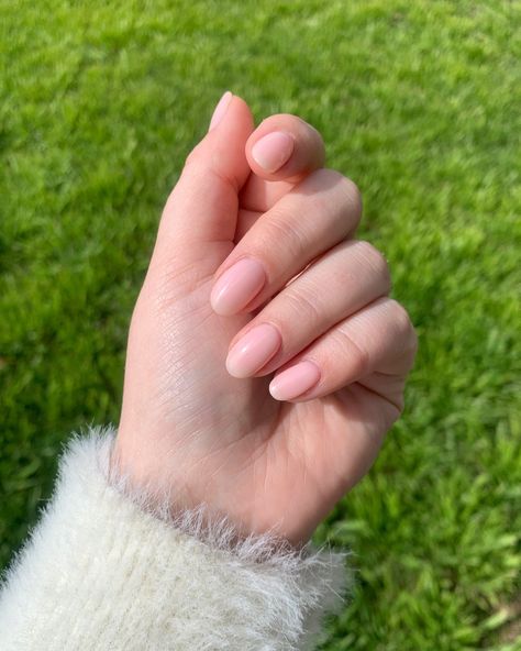 Trophy Wife Nail Art on Instagram: “@kesterblack ‘Babe’ is my go to nude when I’m taking time off gel polish 🥰” Bold Nail Art, Nude Polish, Natural Nail Polish, Long Lasting Nail Polish, Nude Nail Polish, Nude Nail, Green Nail Polish, Black Nail Polish, Glow Nails