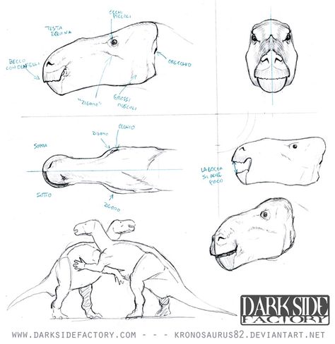 Iguanodon Art, Iguanodon Drawing, Dino Drawing, Prehistoric Animals Dinosaurs, Dinosaur Sketch, Dinosaur Drawing, Dinosaur Illustration, Drawing Examples, Prehistoric Art