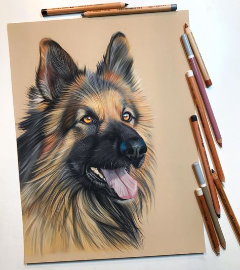 German Shepherd Art, Puppy Sketch, Deer Drawing, Lion Painting, Colored Pencil Artwork, Tauriel, Butterfly Canvas, Watercolor Dog, Diy Canvas Art Painting