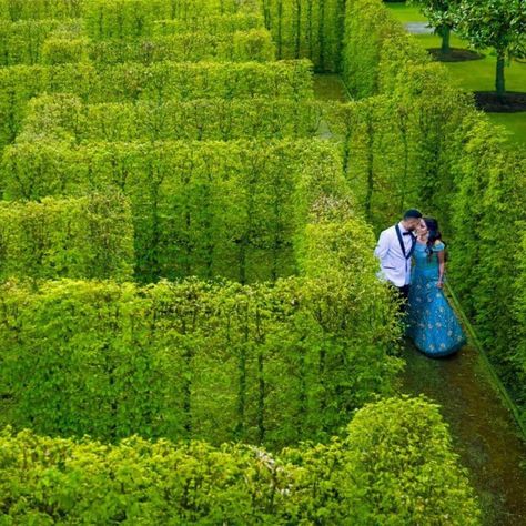 Where winding paths, lush greenery, and timeless charm create a romantic backdrop for capturing the joy and love of newlyweds✨ Nestled within the historic grounds of Ditton Manor, our beautifully landscaped maze is a hidden gem, offering a tranquil escape and stunning photographic opportunities. Ditton Manor is surrounded by acres of manicured gardens, with the maze being a highlight for couples seeking unique, intimate settings for their wedding photos. #maze #dittonmanor #weddingcouples ... Romantic Backdrop, Lush Greenery, Hidden Gem, Manor House, Wedding Couples, Lush, Wedding Photos, Beauty, Instagram