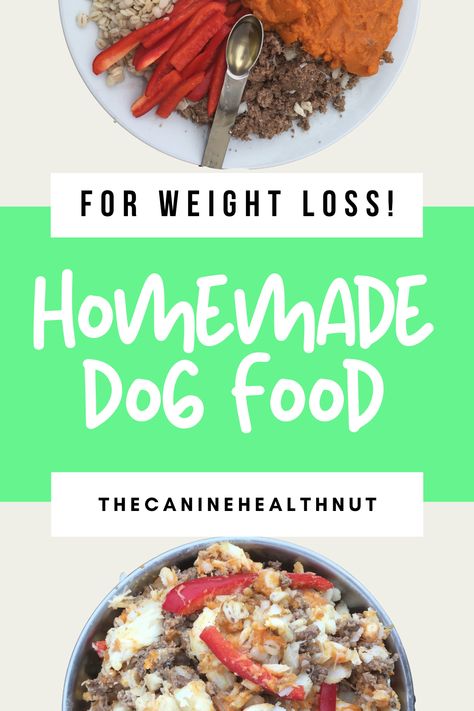 Weight loss for Dogs is not as easy as just reducing calories - the overall composition and nutritional quality of both the diet and ingredients are so important! So many dogs struggle with obesity and being overweight. This home cooked dog food recpie is perfect for weight loss - it is nutritionally dense, and low in calories, so your dog will be able to eat a large volume of food for little calories. Overall this high protein dog food recipe is perfect for dogs who need to lose weight. Diet Dog Food Recipes, Healthy Weight Dog Food, Low Calorie Dog Food Homemade, Low Fat Dog Food Recipes, Low Calorie Dog Food, Weight Gain For Dogs, Homemade Dog Food For Weight Management, Dog Losing Weight Tips, Dog Food Recipes For Kidney Problems