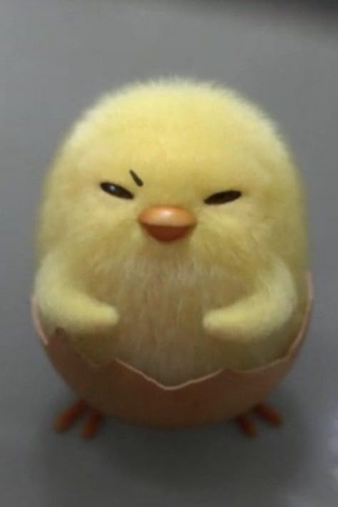 Chick Wallpapers Cute, Shakipiyo Gudetama Wallpaper, Piyo Gudetama Icon, Shakipiyo Gudetama Icon, Shakipiyo Wallpaper, Gudetama Shakipiyo, Pollitos Aesthetic, Cute Chicks Wallpaper, Chicken Pfp