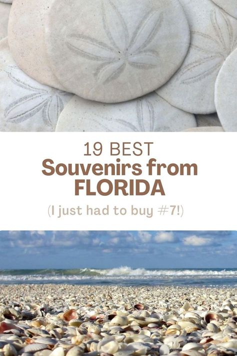 Here are the best souvenirs from Florida to buy when you’re there. If you’re looking for the top Florida souvenirs to make your trip one to remember, read on! These gifts from Florida are a great idea to bring back home, and are an absolute must buy in Florida. Florida Souvenirs, Travel Presents, Best Souvenirs, Florida Travel Guide, Best Travel Gifts, Must Buy, Presents For Men, What To Buy, Your Amazing