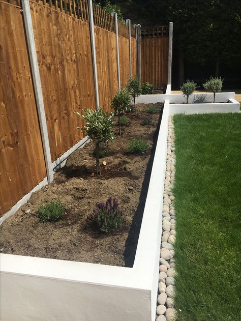 Modern garden design white raised beds urban low maintenance landscaping fencing grass lawn White Raised Garden Beds, Pool House Designs, Low Maintenance Landscaping, Modern Garden Design, Raised Beds, Raised Garden Beds, Raised Garden, Modern Garden, Pool House