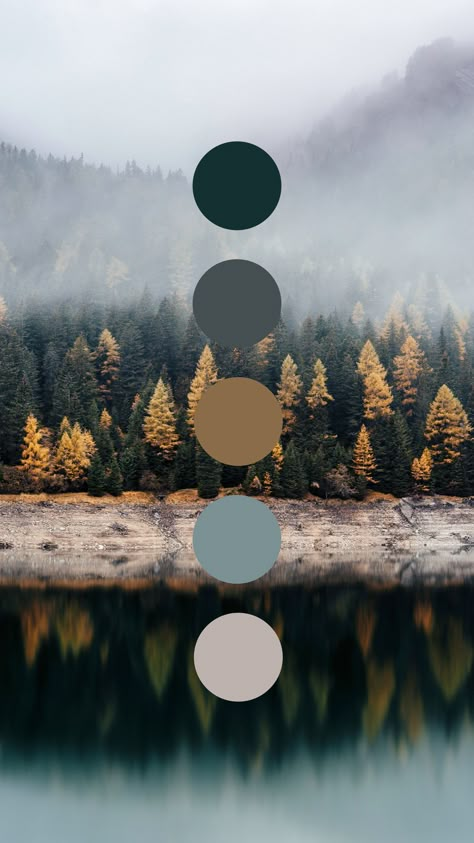 Brand color palette inspiration designed by Amari Creative, branding and design studio. #PalettesThatPop Brand Color Palette, Color Palette Design, Color Inspo, Brand Board, Colour Board, Paint Colors For Home, Color Stories, Colour Schemes, Color Pallets