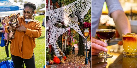 Top Things to Do This Fall in Alexandria, VA Dc Trip, Fall Shows, Indigenous Peoples Day, Old Town Alexandria, Potomac River, Dc Travel, Alexandria Va, Green Landscape, Local Travel