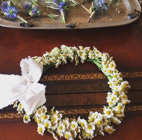 Chamomile flower crown and boutonnière by @jaysonmunndesign Chamomile Flower Crown, Dog Lockscreen, Flower Party Themes, Farmers Market Party, Daisy Flower Crown, Daisy Crown, Floral Crown Wedding, Chamomile Flower, Diy Flower Crown