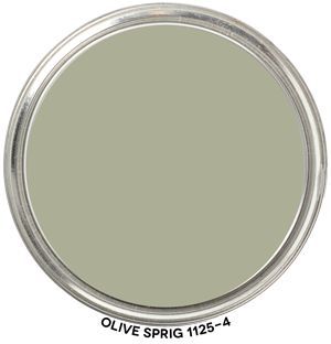 Olive Sprig 1125-4 PPG Color of the Year 2022 Olive Sprig Paint Ppg, Tree Hydrangea, Olive Sprig, Paint Blob, Sage Green Paint Color, Color Of The Year 2022, Sage Green Paint, Ppg Paint, Paint Sample