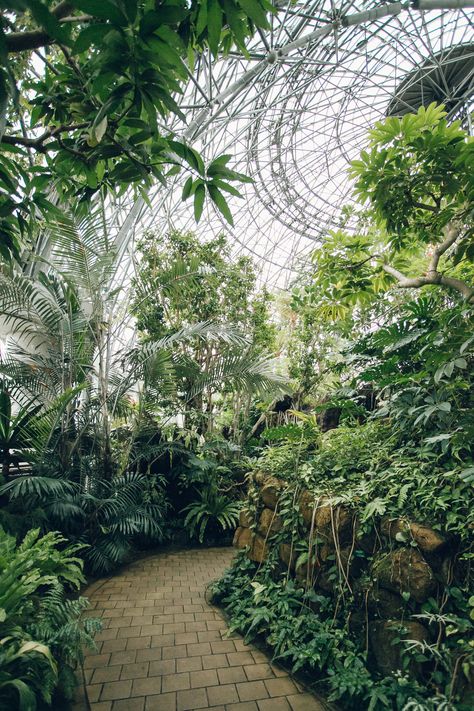 Greenhouse Benches, Tropical Greenhouses, Lots Of Plants, Photography Hacks, Meteor Garden 2018, Plant Aesthetic, Country Garden, Covent Garden, Tropical Garden