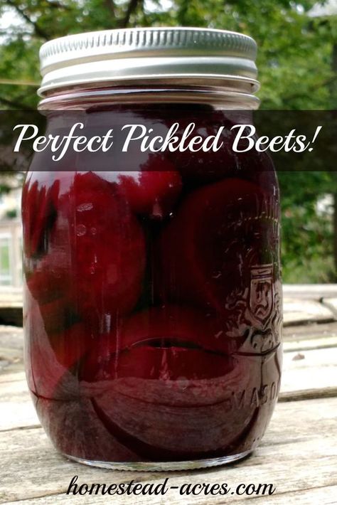 Ingelegde Beet, Beet Pickles, Canned Pickled Beets, Canning Beets, Canning Granny, Pickled Beets Recipe, Pickled Vegetables Recipe, Living Frugal, Canning Pickles