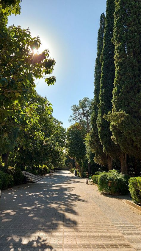 Shiraz Iran Persian Gardens, Iran Nature, Shiraz Iran, Iran Pictures, Persian Garden, Surfing Photography, Ocean Sunset, Shiraz, Ocean Sunset Photography