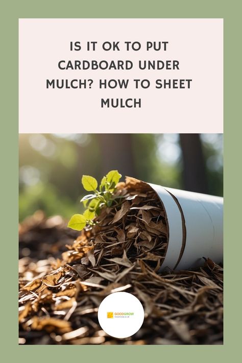 Is It OK to Put Cardboard Under Mulch? How to Sheet Mulch Cardboard Under Mulch, Sheet Mulching, Garden Mulch, Weed Barrier, Eco Friendly Garden, Organic Mulch, Kitchen Waste, Earthworms, Soil Improvement