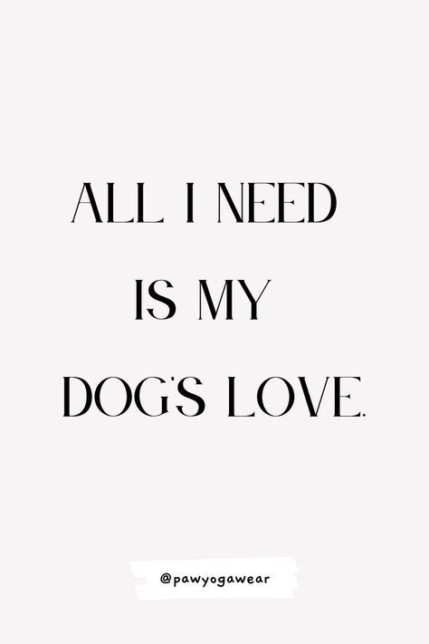 Dog Dad Quotes, Short Dog Quotes, Best Dog Quotes, Dog Mom Quotes, Cute Dog Quotes, Dog Bedroom, Dog Lover Quotes, Short Dog, Dog Quotes Funny