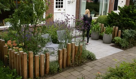 Praktische voortuin - Antoon Gouw Tuinen - Tuinseizoen Front Garden Design, Front Landscaping, Low Maintenance Garden, Flowers Wallpaper, Garden Set, Garden Fencing, Little Garden, Back Garden, Balcony Garden