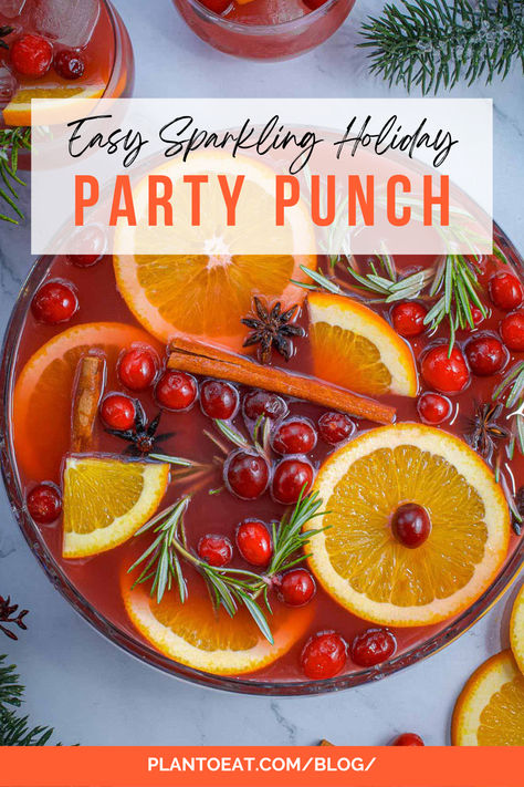 Don’t forget to snag this yummy sparkling punch recipe from Sip + Sanity for your holiday menus! The best part? You can spike it or serve it as is and it will be perfectly delicious either way! Cheerwine Punch, Non Alcoholic Christmas Punch, Emily Enchanted, Holiday Punch Recipe, Cranberry Punch, Christmas Punch Recipes, Holiday Punch, Christmas Drink, Christmas Punch