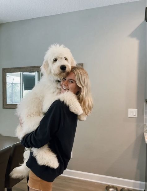 Girl holding a white medium sized goldendoodle like a baby Goldendoodle Blonde, Cream Goldendoodle, White Golden Doodle, White Doodle Dog, English Cream Goldendoodle, Mini Goldendoodle Aesthetic, White And Tan Goldendoodle, Golden Doodle White And Brown, White Goldendoodle