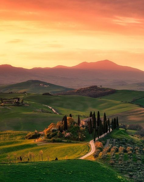 Tuscany Vineyard, Italy Countryside, Tuscany Travel, Medieval Town, Tuscany Italy, Beautiful Places To Visit, Most Beautiful Places, Wonderful Places, Beautiful Landscapes