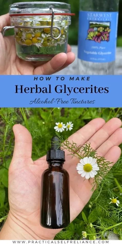 Herbal Glycerites, Diy Tinctures, Herbalism For Beginners, Herbalism Recipes, Tinctures Herbal, Benefits Of Herbs, Medicinal Herbs Remedies, Herbal Vinegar, Herb Tinctures