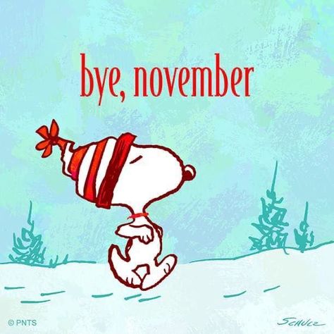 Bye November, Good Morning Winter, Welcome November, Happy Monday Quotes, Peanuts Charlie Brown Snoopy, Snoopy Funny, Snoopy Images, Peanuts Cartoon, Morning Quotes Funny