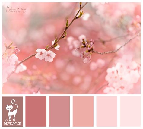 Cherry Blossom - Pink, blush, dusky, rose Designcat Colour Inspiration Board Cherry Blossom Bedroom, Cherry Blossom Wedding Theme, Cherry Blossom Party, Sakura Wedding, Cherry Blossom Theme, Wedding Color Pallet, Cherry Blossom Wedding, Hex Color Palette, Spring Palette