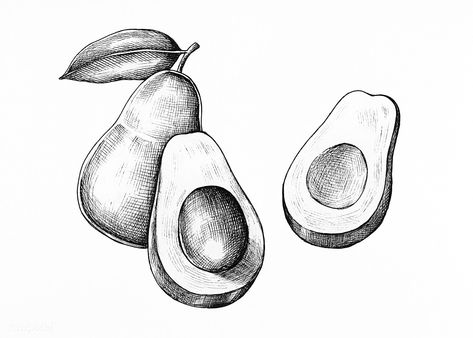 Hand drawn fresh avocado in black and white | premium image by rawpixel.com Black And White Fruit, Avocado Drawing, Avocado Illustration, Hand Drawn Fox, Burger Vector, Pineapple Drawing, Draw Food, Pineapple Vector, Cocktails Vector