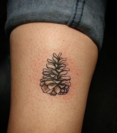 Pine Cone Tattoo, Pinecone Tattoo, Cone Tattoo, Tattoo Design Ideas For Women, Flower Sleeve, Tattoo Fails, Tattoo Ideas For Women, Bad Tattoos, Tattoo Design Ideas