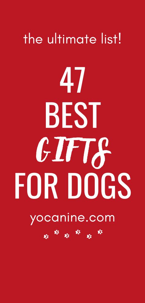 These are the best gifts for dogs Christmas and all year around. Gifts for dog owners, gifts for dog lovers, gifts for dog groomers, gift ideas dog lover #giftideas #doggifts #doglover #doglovergifts #yocanine Groomer Gift Ideas, Christmas Gifts For Dogs, Dog Christmas Pictures, Dog Gift Ideas, Dog Dna Test, Dogs Christmas, Gifts For Dogs, Gifts For Dog Lovers, Orthopedic Dog Bed