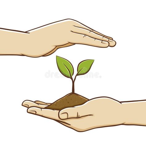 Pair of Hand Holding Soil And Plant. Vector illustration of pair of hand protect #Sponsored , #Ad, #ad, #Holding, #Pair, #Plant, #Soil Soil Conservation Drawings, Soil Illustration, Soil Drawing, Save Soil, Seed Illustration, Soil Conservation, Sequencing Pictures, Tree Icon, Plant Projects