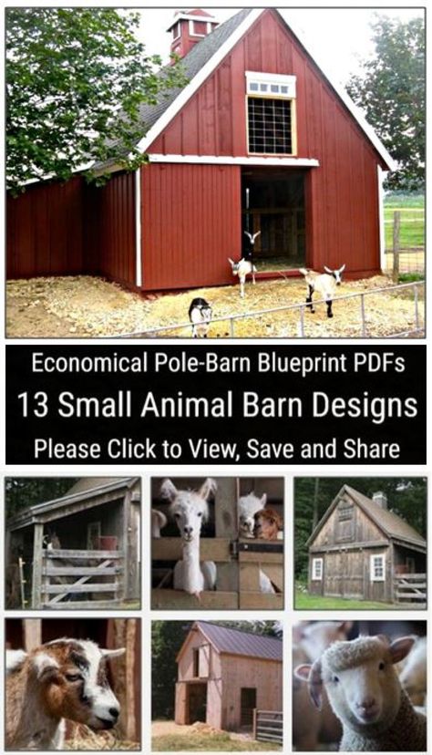 "* Architect-Designed and Engineered in the USA  * You Can Build Any of 13 Different Small Animal Barns * Build Your Barn with Economical Pole-Barn Construction  * The Blueprints Include all Floor Plans, Options, Elevations, Sections, Details and Specifications * Quick, Easy and Inexpensive Digital, Instant Download Plans Create a the perfect little barn for your horses, lamas, ponies, donkeys, goats, sheep vicunas or mix of animals. This plan set starts with blueprints for four small barns that can be customized to fit your needs. Options and add-ons let you create any of thirteen different layouts so you can build just the shelter that your animals need. The barn sizes range from as small as 395 Square Feet to as large as 1,208  Square Feet with optional add-ons. Hay Lofts give you econo Small Animal Barn, Small Barn Plans, Pole Barn Plans, Livestock Barn, Barn Layout, Goat Shelter, Pallet Barn, Small Barns, Building A Pole Barn