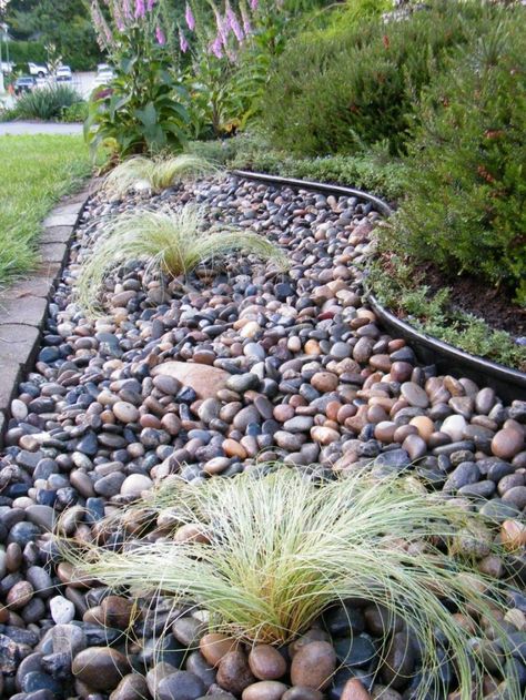 Ideas Para Decorar Jardines, Diy River Rock, Garden Mulch, River Rock Garden, Mulch Landscaping, River Rock Landscaping, Rock Landscaping, Rock Garden Design, Rock Garden Landscaping