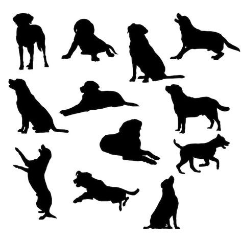 Set of labrador retriever silhouette vec... | Premium Vector #Freepik #vector #dog-silhouette #dog-breeds #terrier #poodle-dog Golden Retriever Silhouette, Labrador Silhouette, Silhouette Tattoos, Lab Dogs, Black And White Dog, Dog Vector, Dog Logo, Animal Silhouette, Smiling Dogs