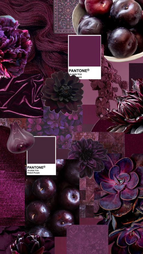 Plum Color Palette, Deep Winter Colors, Mulberry Color, Pantone Colour Palettes, Purple Color Palettes, Color Collage, Dark Autumn, All Things Purple, Color Inspo