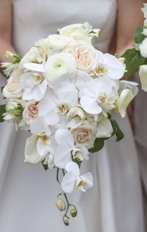 Bridal Orchid Bouquet, Single Orchid Bouquet, Bouquet Wedding White, Wedding Bouquets Spring, March Wedding Flowers, Carnation Bridal Bouquet, White Orchid Bouquet, Orchid Bridal Bouquets, Bride Bouquets White