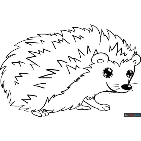 Free Hedgehog Coloring Page for Kids Hedgehog Coloring Pages Free Printable, Hedgehog Template, Hedgehog Coloring Page, Fall Classroom Decorations Ideas, Hedgehog Colors, Kid Quilts Patterns, Easy Drawing Guides, Fall Classroom Decorations, Fall Classroom