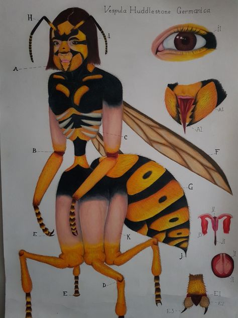 Coloured pencil drawing, diagramed hybrid creature human/wasp. Artist:Kiera McElroy age: 18 Bug Human Hybrid, Bug Drawing, Hybrid Creature, Human Hybrid, Cool Bugs, Colored Pencil Drawing, Bugs And Insects, Drawing Human, Wasp