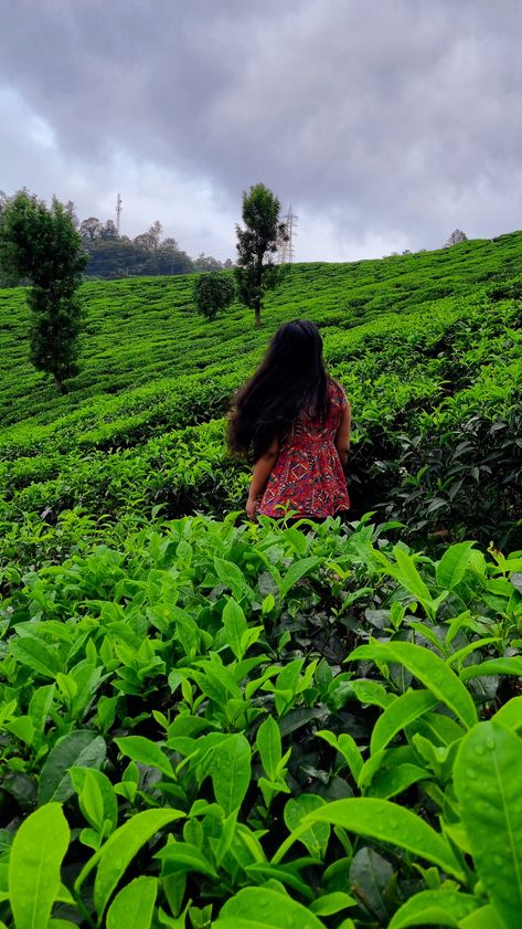 Somewhere into the tea gardens 🍃 Kerala Trip, Tea Gardens, Dreamcatcher Wallpaper, Tea Plant, Travel Pictures Poses, Munnar, Ooty, Trip Outfits, Pictures Poses